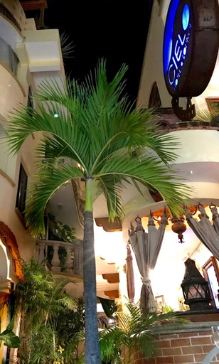 Exterior & Views 2, Hotel Cielo Playa del Carmen, Cozumel