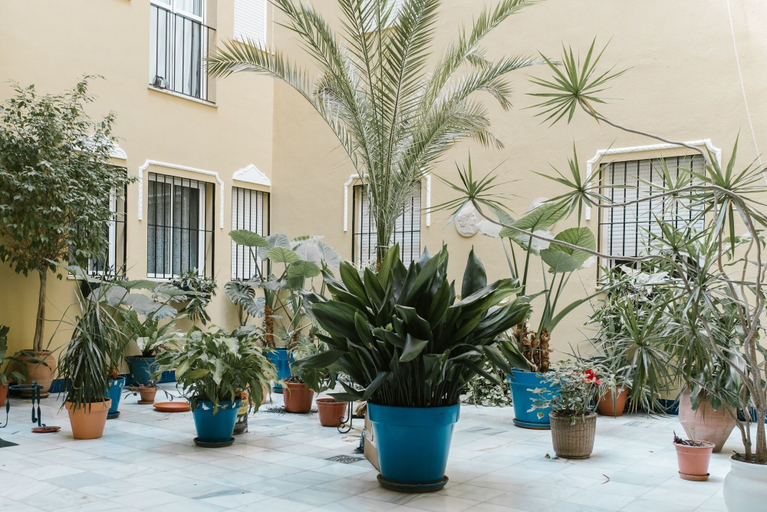 Exterior & Views, Sevilla Apartments Leonor BA, Sevilla