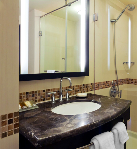 Bathroom 5, Hampton by Hilton Vadodara-Alkapuri, Vadodara