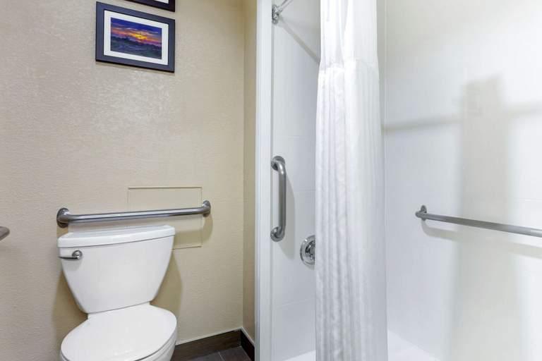 Bathroom 3, Comfort Inn Hoffman Estates - Schaumburg, Cook