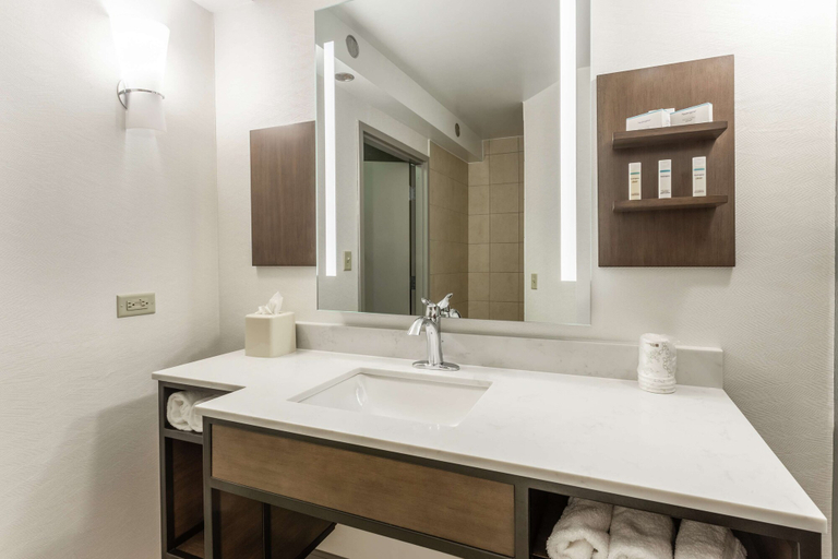 Bathroom 4, Hilton Garden Inn Chicago/Tinley Park, Will
