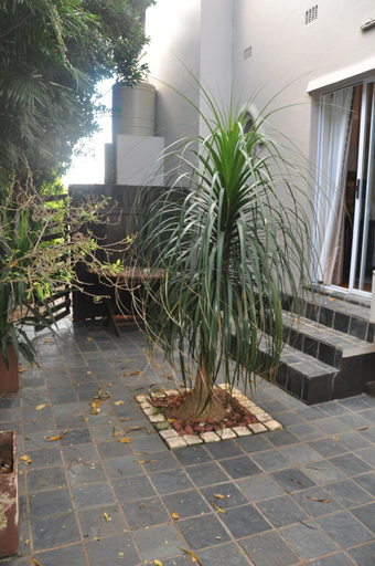 Others 4, 268 On Ridge Guesthouse, eThekwini