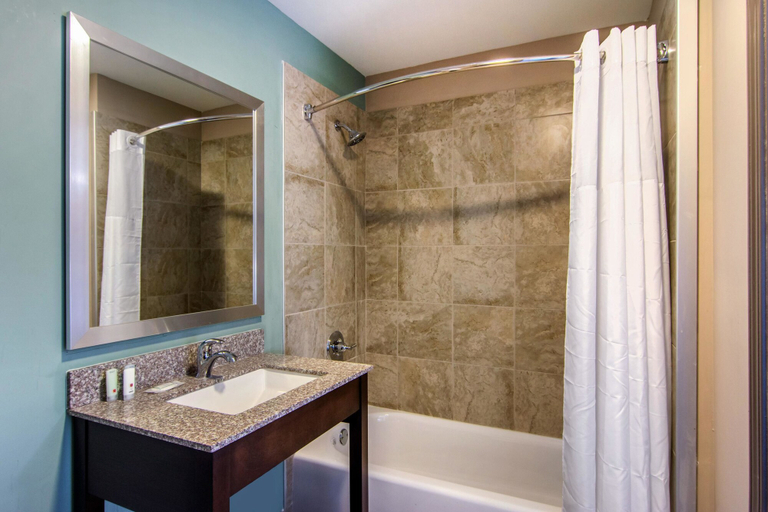 Bathroom 4, Clarion Inn & Suites Atlanta Downtown, Atlanta
