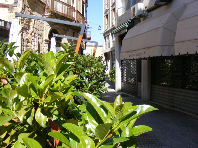 Exterior & Views 2, B&B LecceSalento, Lecce