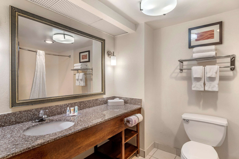 Bathroom 4, Comfort Inn & Suites Athens North, Clarke