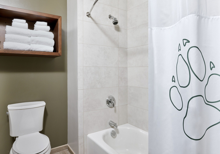 Bathroom 3, Great Wolf Lodge Concord, Cabarrus