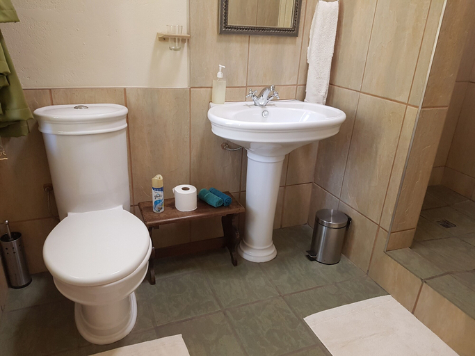 Bathroom 4, Steytlerville Villa Guest House, Cacadu