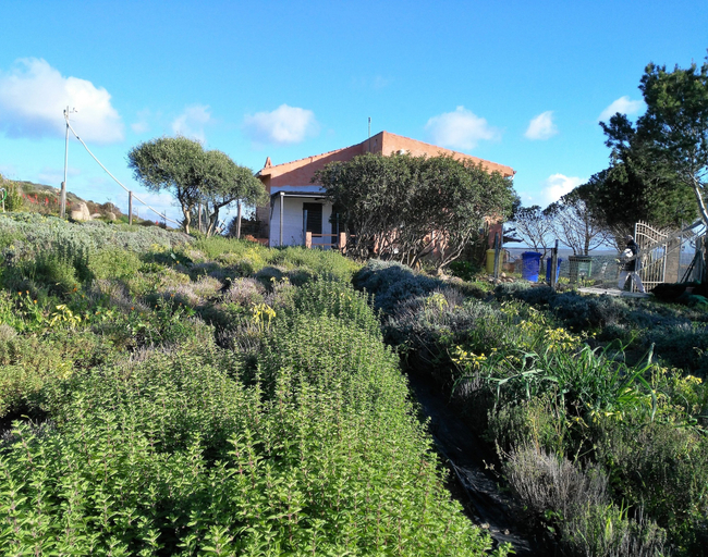 Exterior & Views 2, Agriturismo Erbe Matte - Campsite, Carbonia-Iglesias