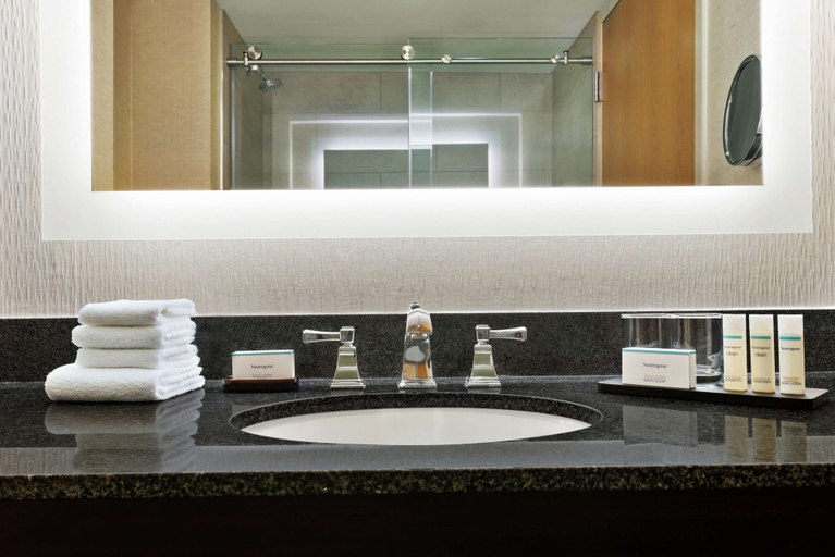 Bathroom 4, Embassy Suites by Hilton Columbus Dublin, Franklin