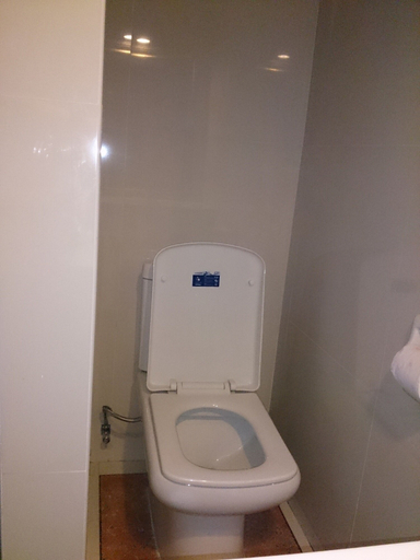 Bathroom 3, Hotel Villa Angelina, Legazpi City
