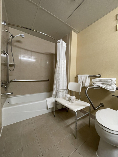 Bathroom 4, Comfort Inn Ballston, Arlington