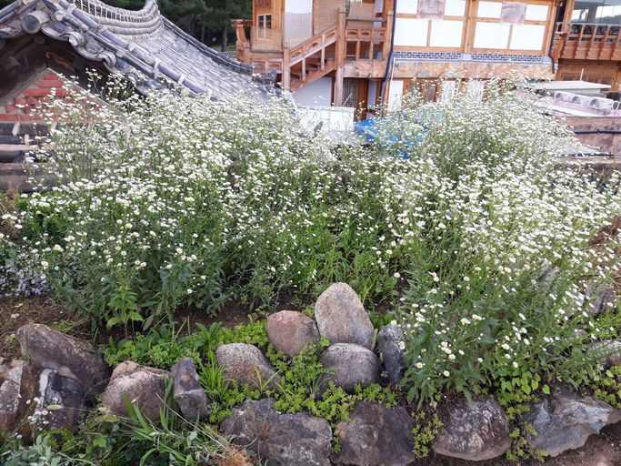 Exterior & Views 2, Namuae, Gyeongju