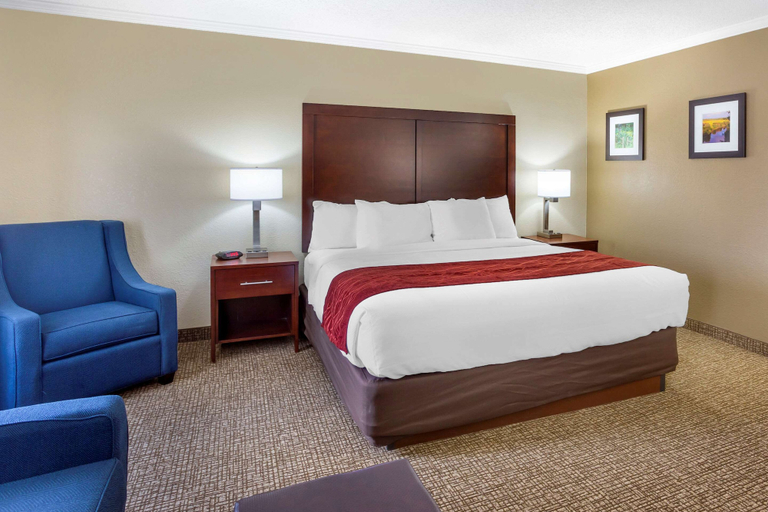 Bedroom 2, Comfort Inn Hoffman Estates - Schaumburg, Cook