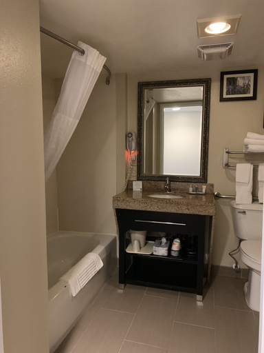 Bathroom 4, Comfort Inn Franklin Highway 96, Williamson
