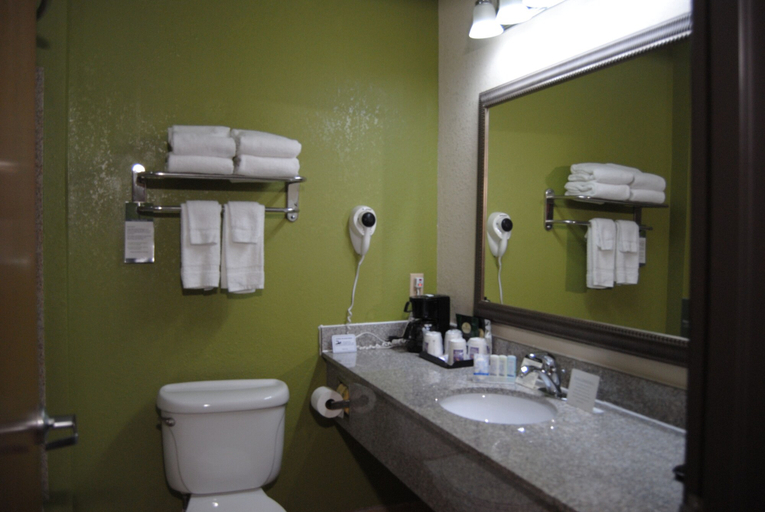 Bathroom 4, Sleep Inn & Suites Montgomery East I-85, Montgomery