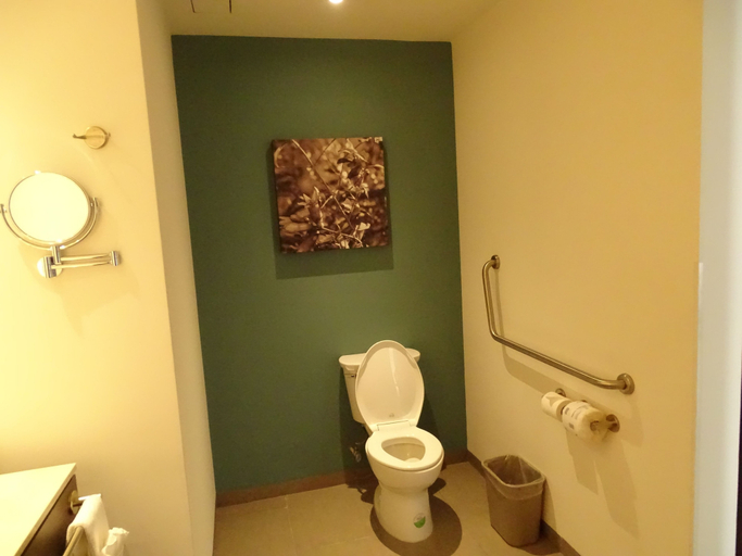 Bathroom 4, Hampton Inn Celaya Mexico, Apaseo el Grande