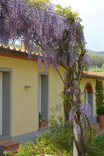 Exterior & Views 2, Podere delle Fanciulle, Pistoia