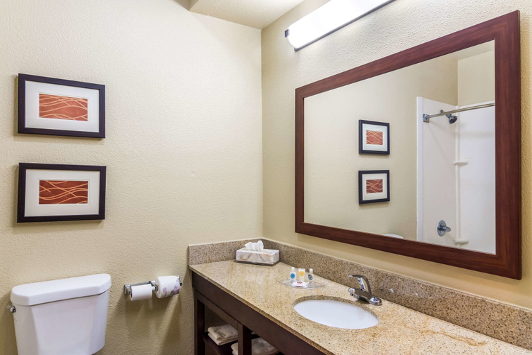 Bathroom 4, Comfort Suites Eufaula North, Barbour