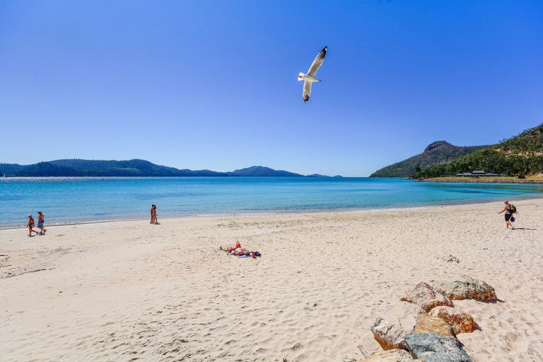 Others 5, Shorelines 2 on Hamilton Island, Whitsunday
