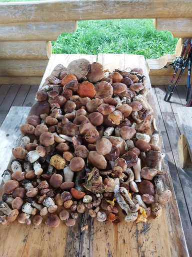 Food & Drinks 4, Cottage complex Ozerny Bereg, Priozerskiy rayon