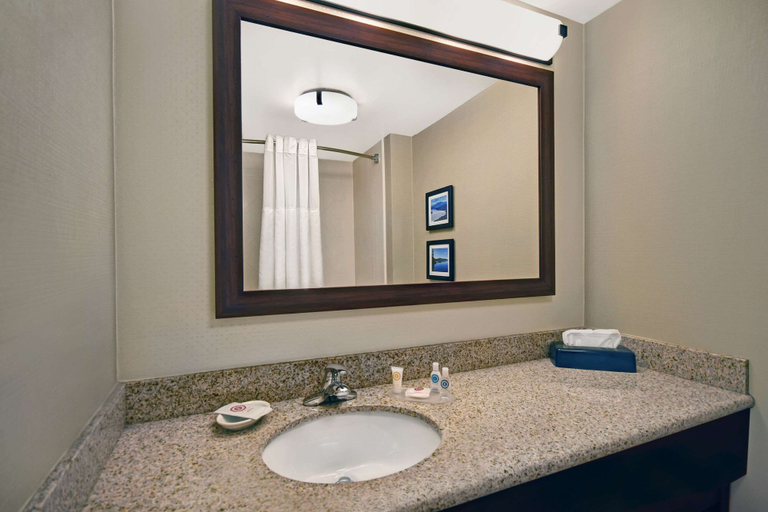 Bathroom 4, Comfort Inn & Suites Wilton, Franklin