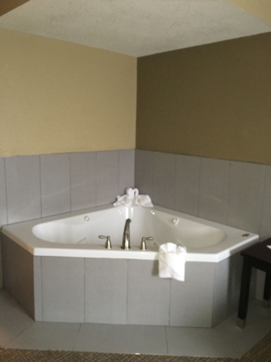 Bathroom 4, Best Western Harrisburg North Hotel, Dauphin