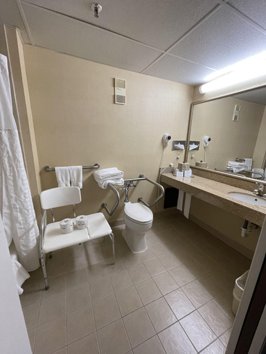 Bathroom 4, Comfort Inn Ballston, Arlington