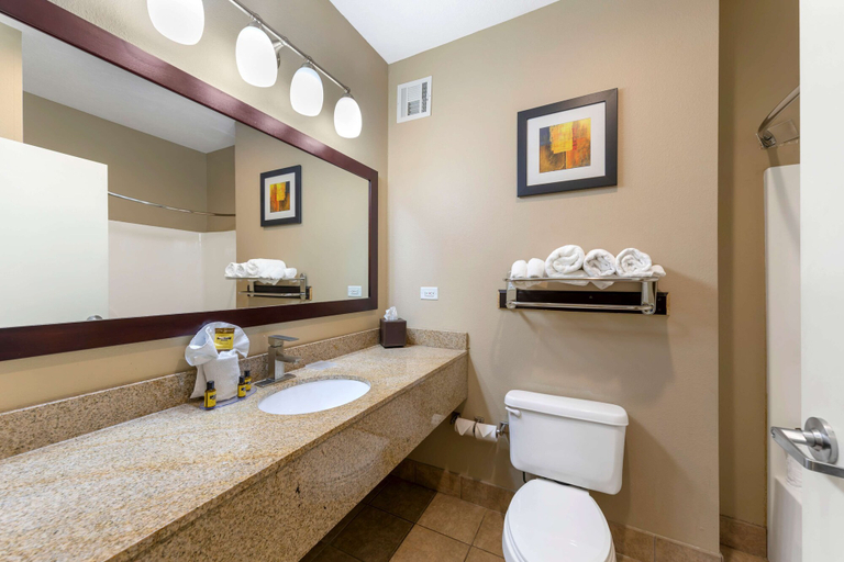 Bathroom 5, Best Western Plus Gadsden Hotel & Suites, Etowah