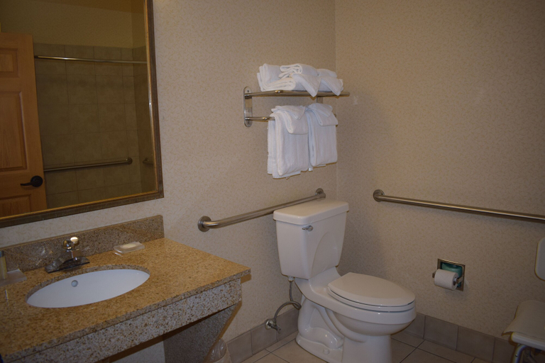 Bathroom 4, Wingate Suites by Wyndham Youngstown - Austintown, Mahoning