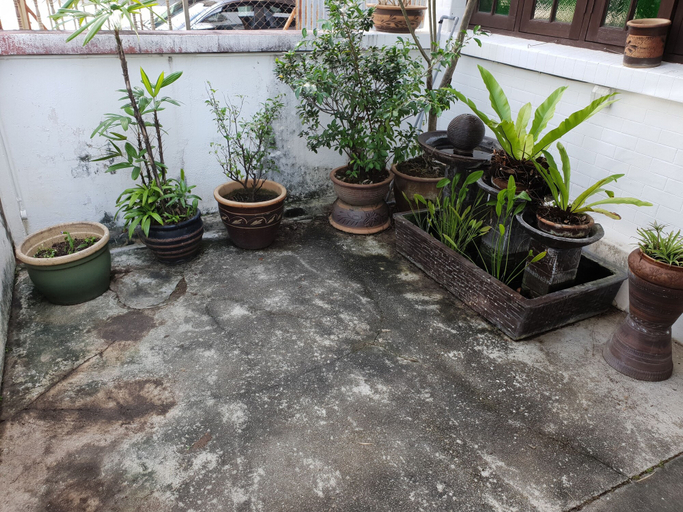 Others 4, Hommie 1934, Penang Island