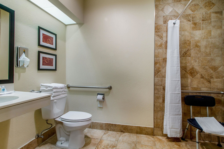 Bathroom 4, Comfort Suites Danville, Boyle