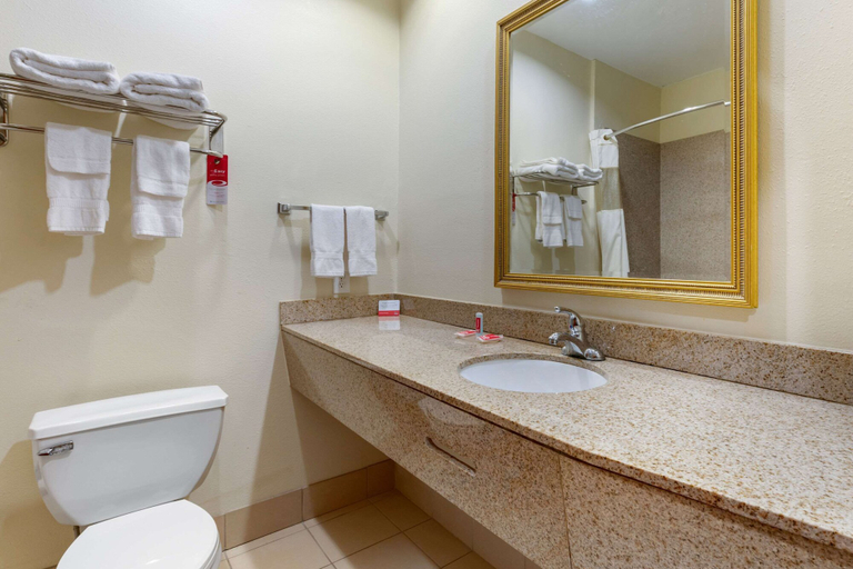 Bathroom 4, Econo Lodge Eutaw I-20, Greene