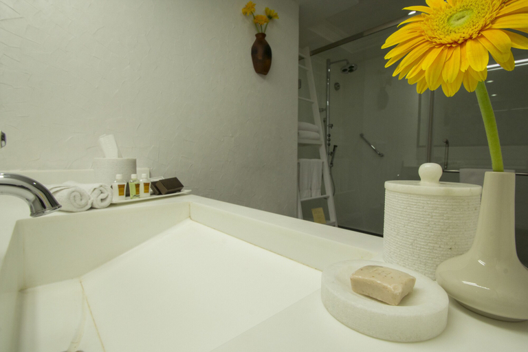 Bathroom 5, Sterlings Mac Hotel , Bangalore