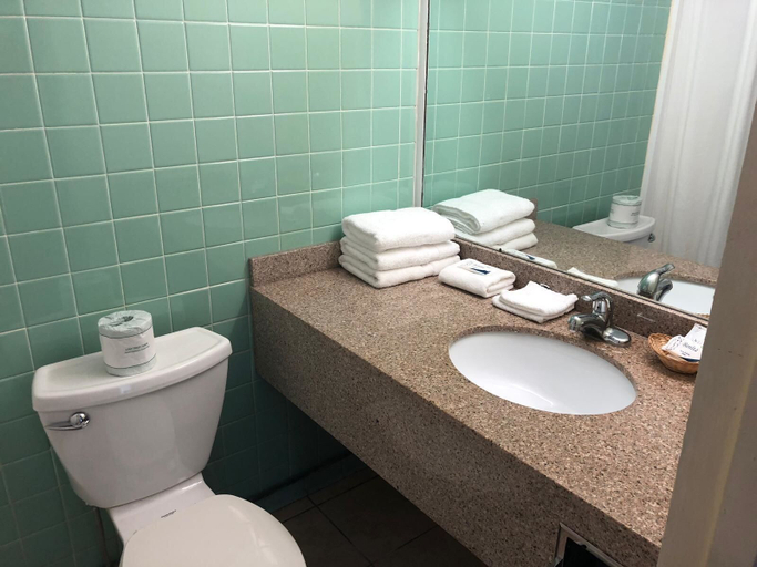 Bathroom 5, Red Carpet Inn North Syracuse, Onondaga