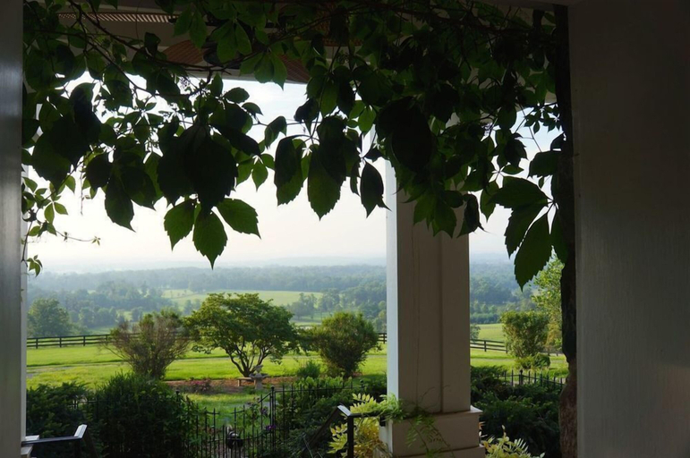 Others 5, Weddings at Highholdborne, Loudoun