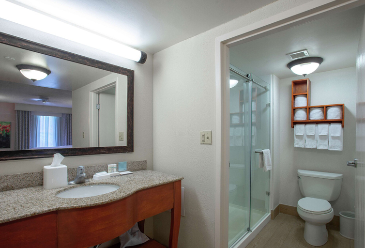 Bathroom 4, Hampton Inn & Suites Williamsburg-Richmond Rd., Williamsburg