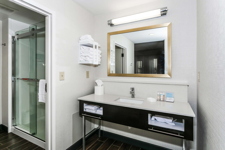 Bathroom 4, Hampton Inn & Suites Mobile- Downtown Historic District, Mobile