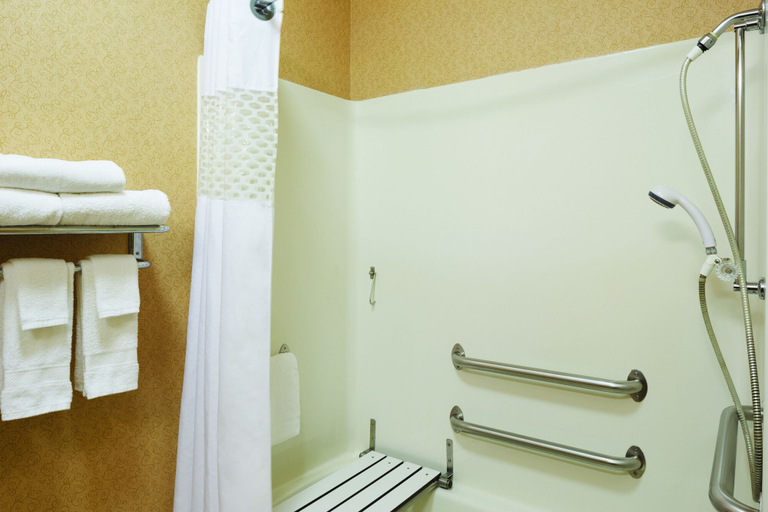 Bathroom 4, Hampton Inn Chicago / Tinley Park, Will