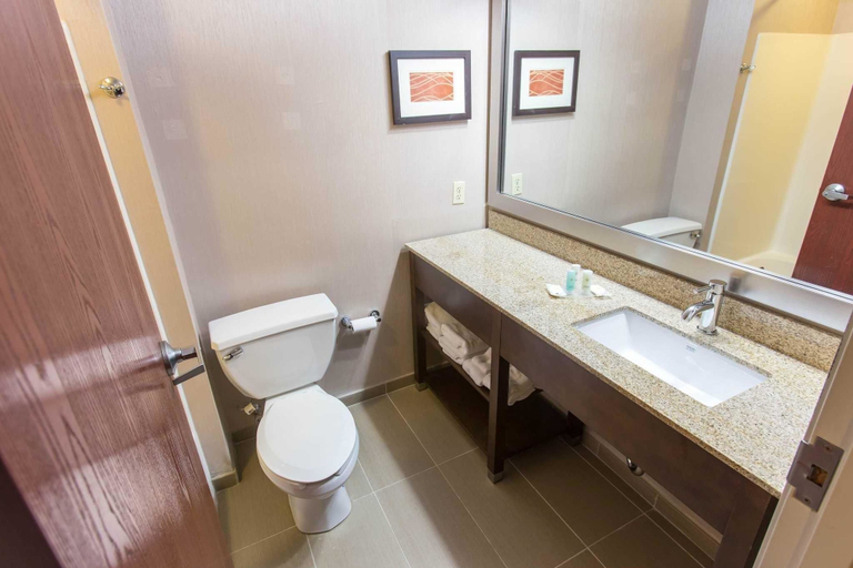 Bathroom 4, Comfort Inn Pittsburgh Crafton, Allegheny