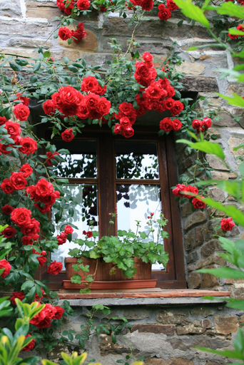 Others 5, Agroturismo Amalau, Vizcaya