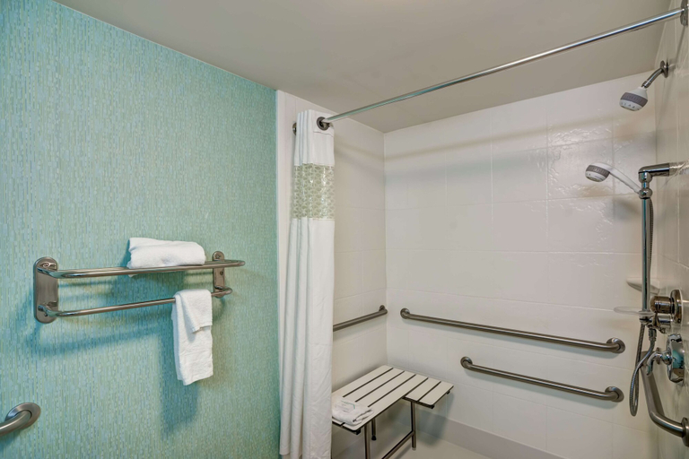 Bathroom 4, Hampton Inn & Suites Sarasota/Bradenton-Airport, FL, Sarasota