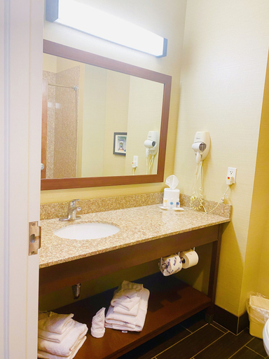 Bathroom 5, Comfort Suites Jefferson City, Cole