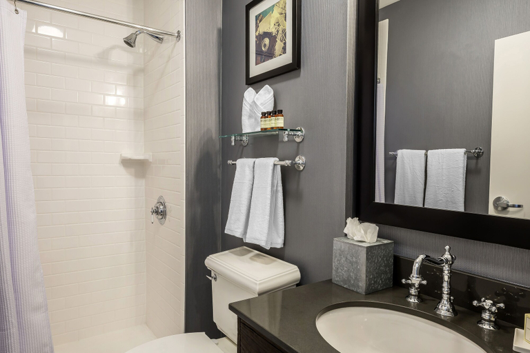 Bathroom 4, enVision Hotel St. Paul South, Dakota