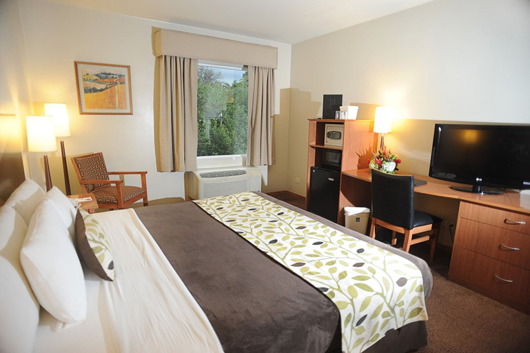 Bedroom 4, Sleep Inn Hotel Paseo Las Damas, San José