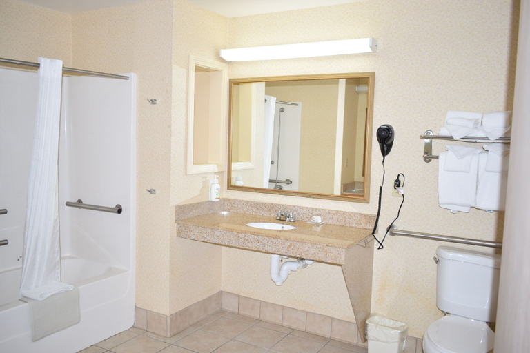 Bathroom 4, Wingate Suites by Wyndham Youngstown - Austintown, Mahoning