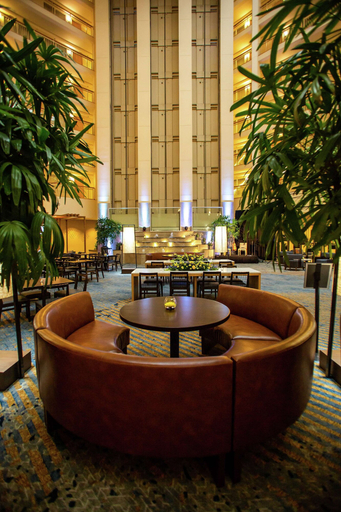 Food & Drinks 5, Embassy Suites by Hilton Columbus Dublin, Franklin