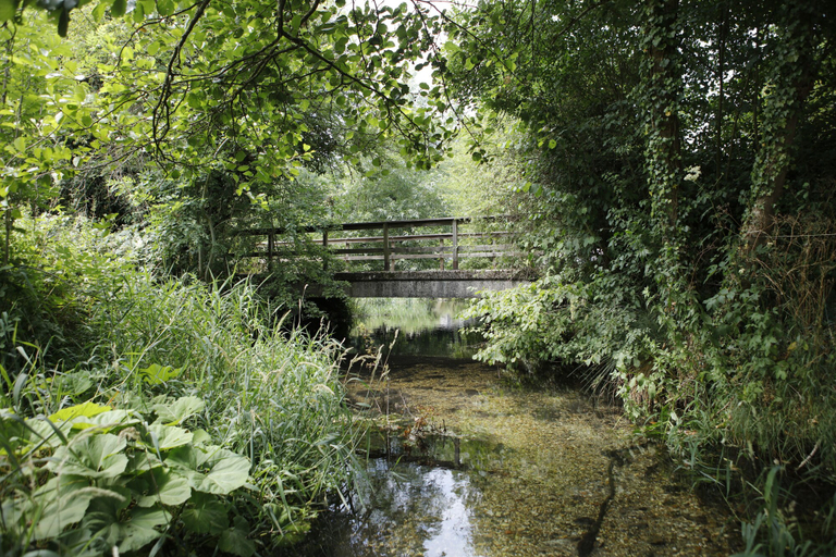 Others 4, Barton's Mill, Hampshire