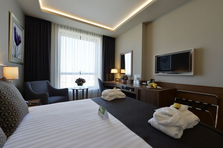 Bedroom 3, Holiday Inn BURSA - CITY CENTRE by IHG, Yıldırım