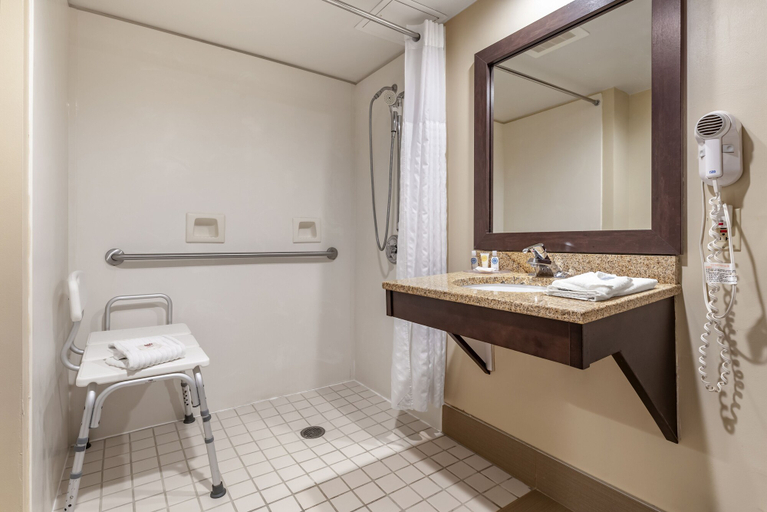 Bathroom 4, Holiday Inn Express & Suites MOREHEAD by IHG, Rowan