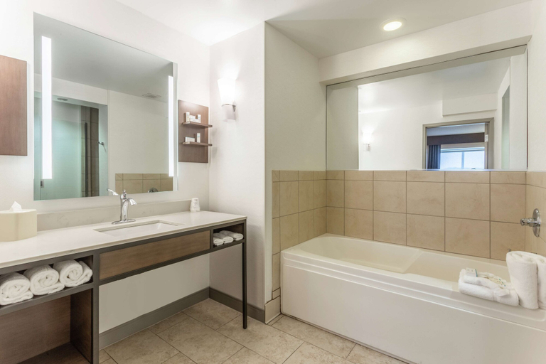 Bathroom 4, Hilton Garden Inn Chicago/Tinley Park, Will